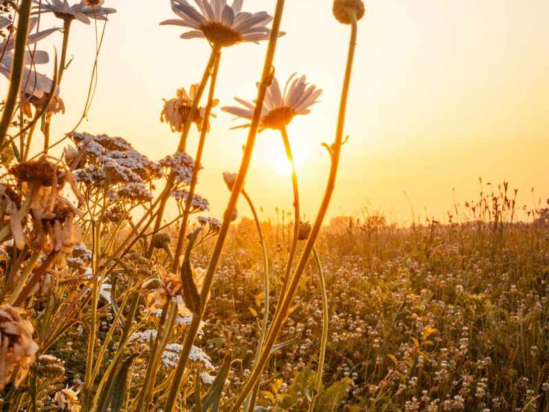 New Year – New&nbsp;Start